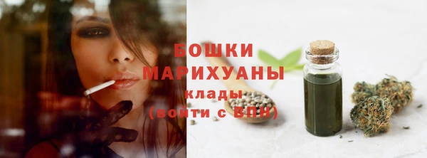 прущая мука Пересвет